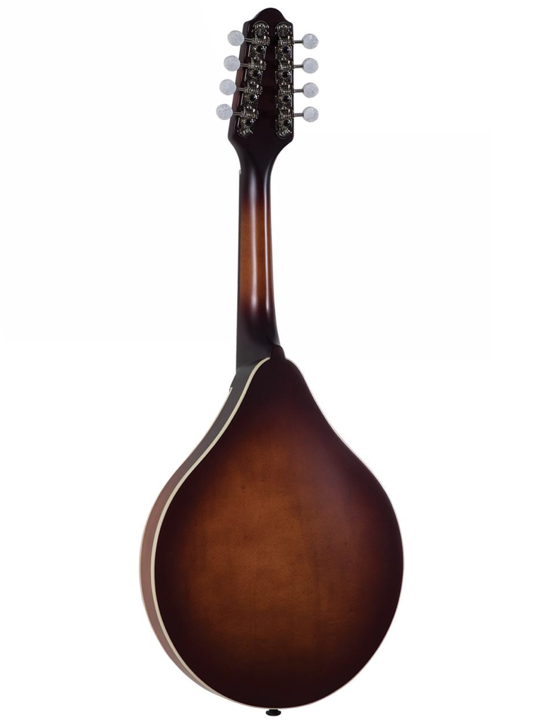 The Loar LM-110 Honey Creek A-Style Mandolin — Brooklyn Fine Guitars